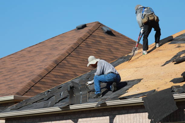 Best Roof Leak Repair  in Derma, MS